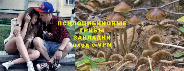 соль ск Алзамай