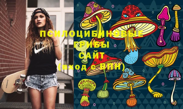 соль ск Алзамай