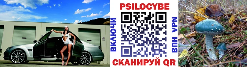 Галлюциногенные грибы прущие грибы  Суджа 