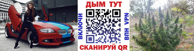 Шишки марихуана марихуана Суджа